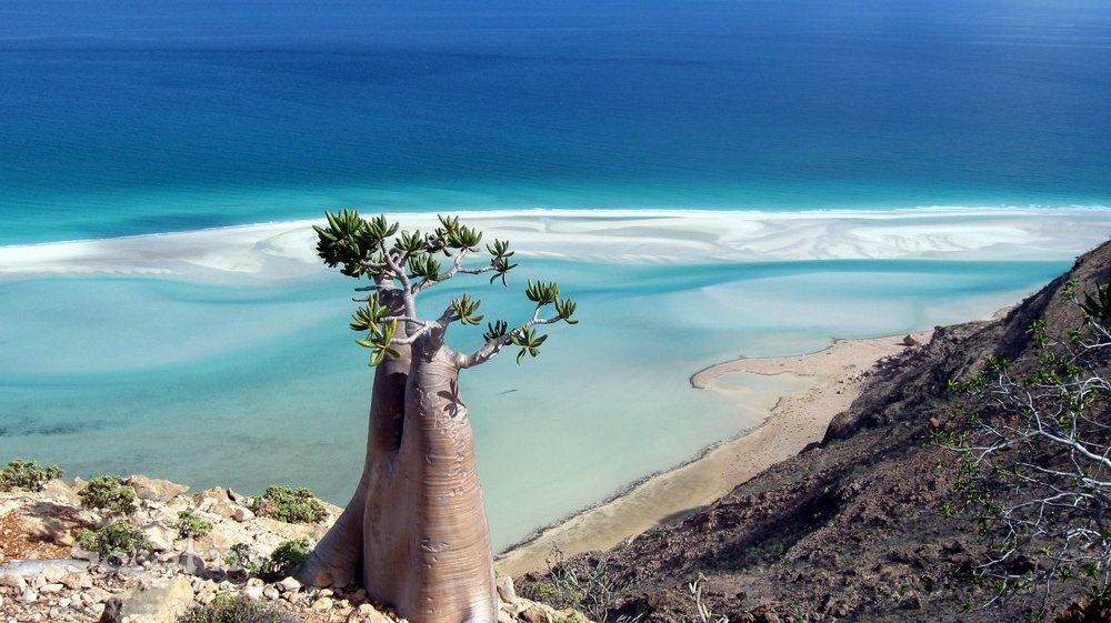 Playas de Isla de Socotra Playas del mundo